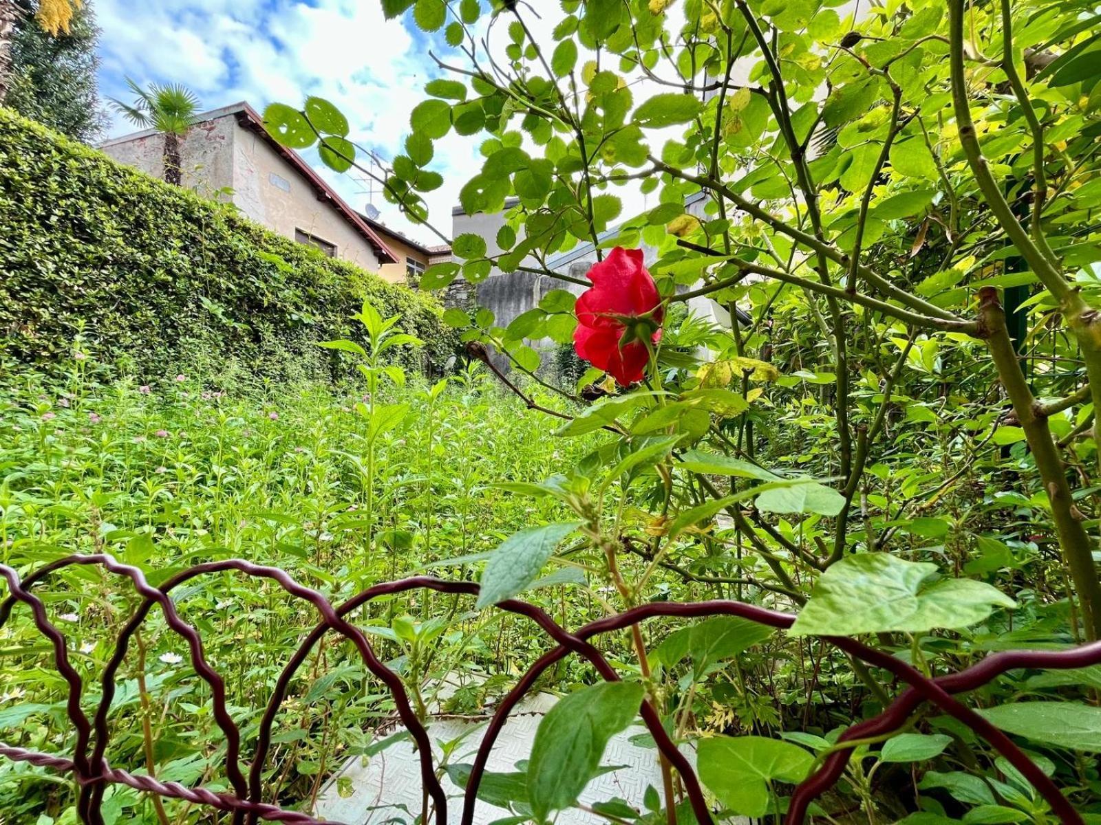 Appartamento Frida أنغيرا المظهر الخارجي الصورة